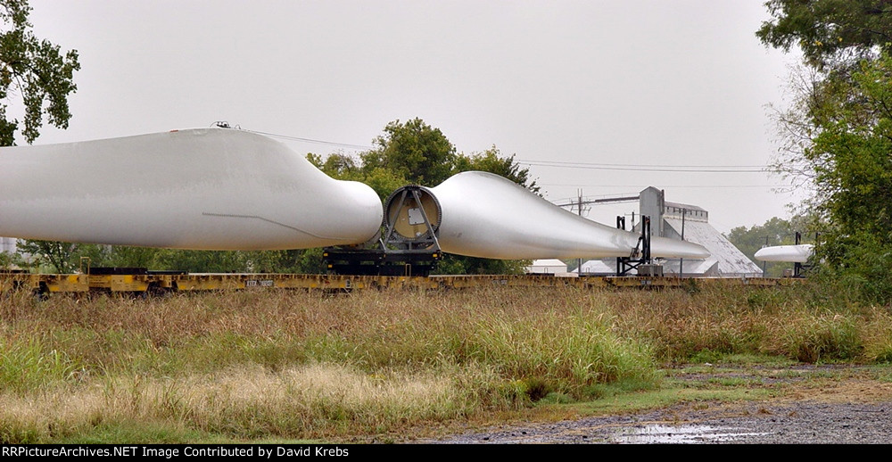 "Whale train"